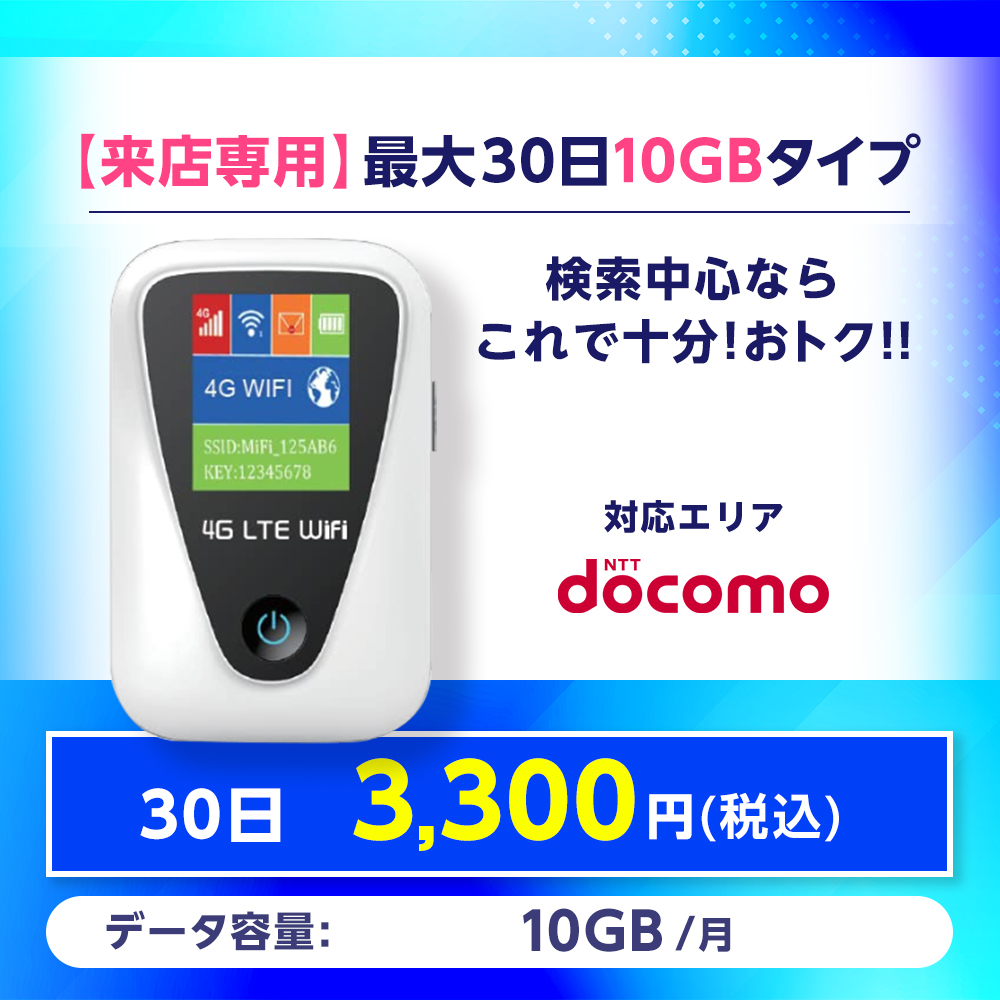 【来店専用】最大30日10GBタイプ